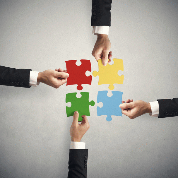 کیف مجلسی: تجربیات نی نی سایتی‌ها در یک نگاه